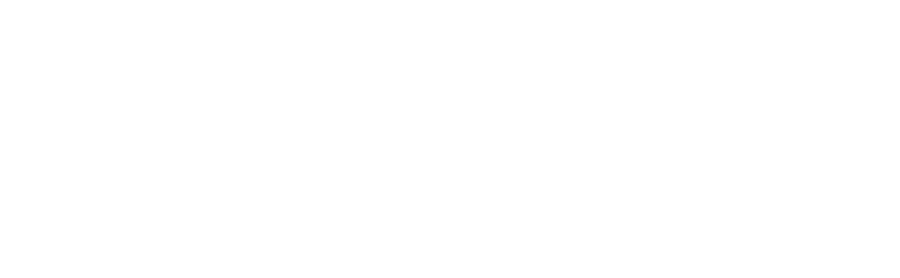 Fortina Headhunting e Assessment
